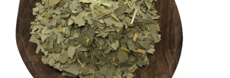 Eucalyptus Leave Cut