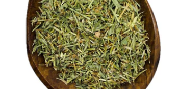 Knotgrass Herb Cut