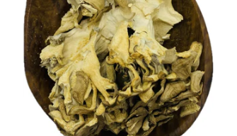 Maitake Mushroom Whole