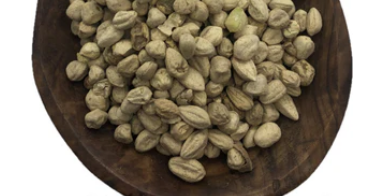 Moringa Seed Whole (Without Shell)