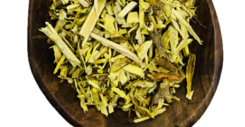 Oregon Grape Root Cut